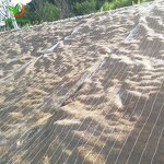 Geotextile Manufacturer - 350g 300g 200g Coir Mat with Jute for Slope Protection River Bank Erosion Control