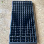 Garden Trays Manufacturer - 150cell 200 100 Holes for Seedlings Tomato Broccoli Tulip Germination