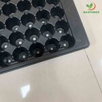 Seedling Tray Manufacturer - Round 60 50 Holes Every-lasting 104 128 Holes Plastic for Tomato Lettuce Tulip Sugarcane Germination
