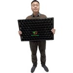 Garden Trays Manufacturer - 150cell 200 100 Holes for Seedlings Tomato Broccoli Tulip Germination