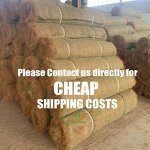 Erosion Control Matting Manufacturer - Pre-seeded Coir for Steep Slope Protection River Bank Erosion Control