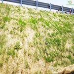 Erosion Control Matting Manufacturer - Pre-seeded Coir for Steep Slope Protection River Bank Erosion Control