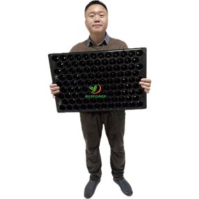 Seedling Tray Manufacturer - Round 60 50 Holes Every-lasting 104 128 Holes Plastic for Tomato Lettuce Tulip Sugarcane Germination