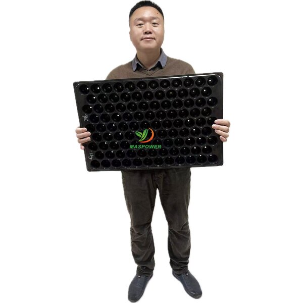 Seedling Tray Manufacturer - Round 60 50 Holes Every-lasting 104 128 Holes Plastic for Tomato Lettuce Tulip Sugarcane Germination