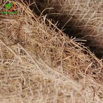 Geotextile Manufacturer - 350g 300g 200g Coir Mat with Jute for Slope Protection River Bank Erosion Control