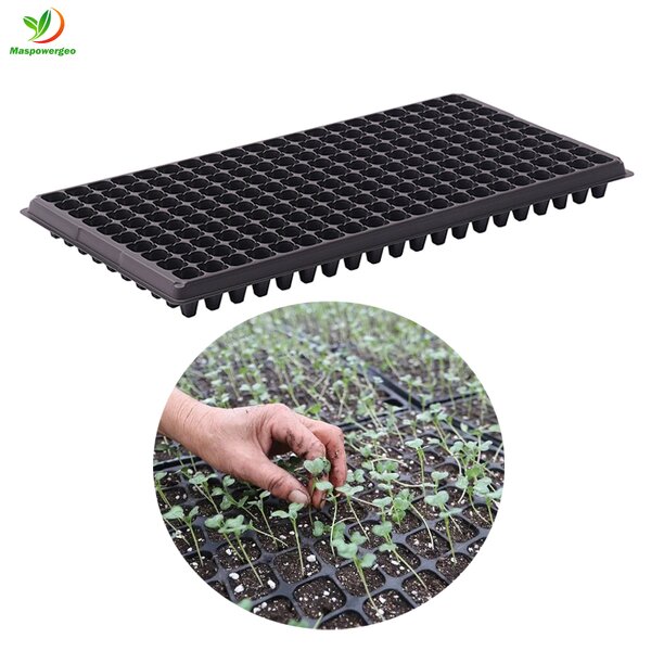 Seedling Trays Manufacturer - 32 50 72 98 105 128 162 200 288 Polystyrene for Sale
