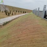 Erosion Control Matting Manufacturer - Pre-seeded Coir for Steep Slope Protection River Bank Erosion Control