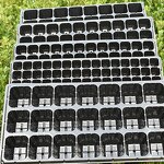 Nursery Trays Manufacturer - 72 105 128 162 200 Cells Seedling for Tomato Chilli Broccoli Onion Germination