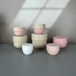 Biodegradable products