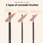 Vegan Makeup Brush Supplier - Custom Logo 3pcs Synthetic Hair