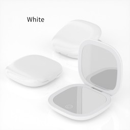 Portable Makeup Mirror Supplier - LED Rechargeable 5X Silver