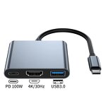 USB Hub - Manufacturer 3-in-1 Type C with HDTV Interface SD Style