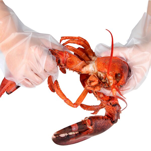 Disposable CPE Gloves Manufacturer - Medium Transparent Durable Oil-proof for Food Cooking Kitchen Dishwashing Baking