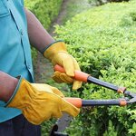 Outdoor Gloves Manufacturer - Yellow Cowhide Soft Reusable Waterproof Cycling Wear-resistant Thorn-proof Heat Resistant