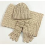Winter Set Manufacturer - Autumn and Winter Three-Piece Classic Twist Warm Hat Scarf Glove Set Embroidered Square
