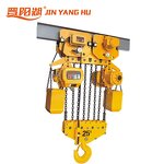 Electric Hoist Manufacturer - Advanced Technology 5T Engine Lifting Equipment Factory Price