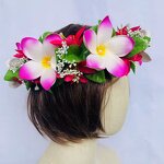 Plumeria Foam Flower Headband Manufacturer - Tropical Leaves for Hula Dance Wedding Party Graduation Island Girl Head Accessories