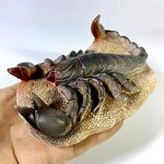 Crystal Ball Resin Crafts Manufacturer - Scorpion Ornaments for Furniture Desktop Office Small Scorpion Base