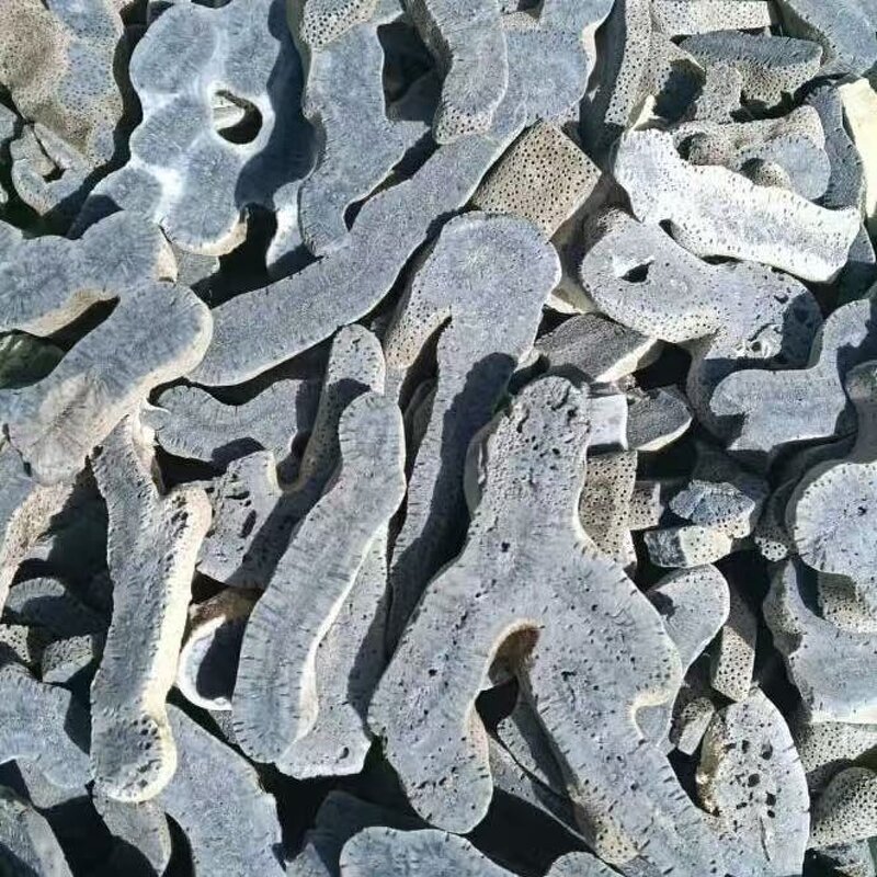 Blue Coral Jade Quartz Crystal Manufacturer - Wholesale High Quality Freeform for Decorative Healing