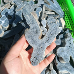 Blue Coral Jade Quartz Crystal Manufacturer - Wholesale High Quality Freeform for Decorative Healing