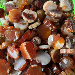 Carnelian Apples Crystal Craft Manufacturer - Wholesale High Quality Healing Palms for Home Decoration