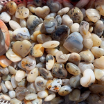 Dendritic Agate Crystal Quartz Manufacturer - Wholesale Natural Factory Price Heart Healing for Fengshui Decoration Rough