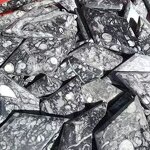 Ammonite Fossil Stone Diamond Manufacturer - Wholesale High Quality Healing Crystal Quartz Natural for Decoration