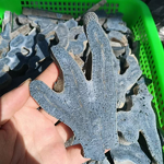 Blue Coral Jade Quartz Crystal Manufacturer - Wholesale High Quality Freeform for Decorative Healing