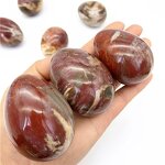 Petrified Wood Egg Manufacturer - Wholesale Natural Polished Wood Fossil for Decoration