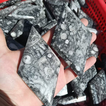 Ammonite Fossil Stone Diamond Manufacturer - Wholesale High Quality Healing Crystal Quartz Natural for Decoration