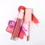 Lip Gloss Manufacturer - Wholesale Private Label 58 Colors Pink Tube