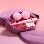 Lip Kit Set Factory - 5in 1 Pink Lip Gloss Gift Set Holiday Makeup