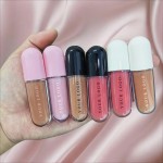 Lip Plumping Gloss Factory - Private Label Vegan 4ML Herbal Tint Volume