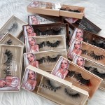 Lash Box Packaging Factory - Custom Your Logo Brown Case Nude Lashes