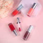 Lip Glaze Factory - Private Label Waterproof Long Lasting Moisturizing