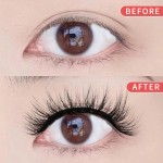 Synthetic Strip Lash Factory - Top Quality 3D Curly 20mm Vegan