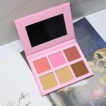 Blush Palette Manufacturer - Hot Sale Custom Waterproof High Pigment