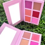 Blush Palette Manufacturer - Hot Sale Custom Waterproof High Pigment
