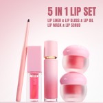 Lip Kit Set Factory - 5in 1 Pink Lip Gloss Gift Set Holiday Makeup