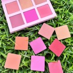 Blush Palette Manufacturer - Hot Sale Custom Waterproof High Pigment