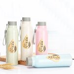 Wheat Straw Glass Water Bottle Manufacturer - High Quality Promotion Gift 12oz Bpa Free Portable Ivory Double Wall with Strap Logo