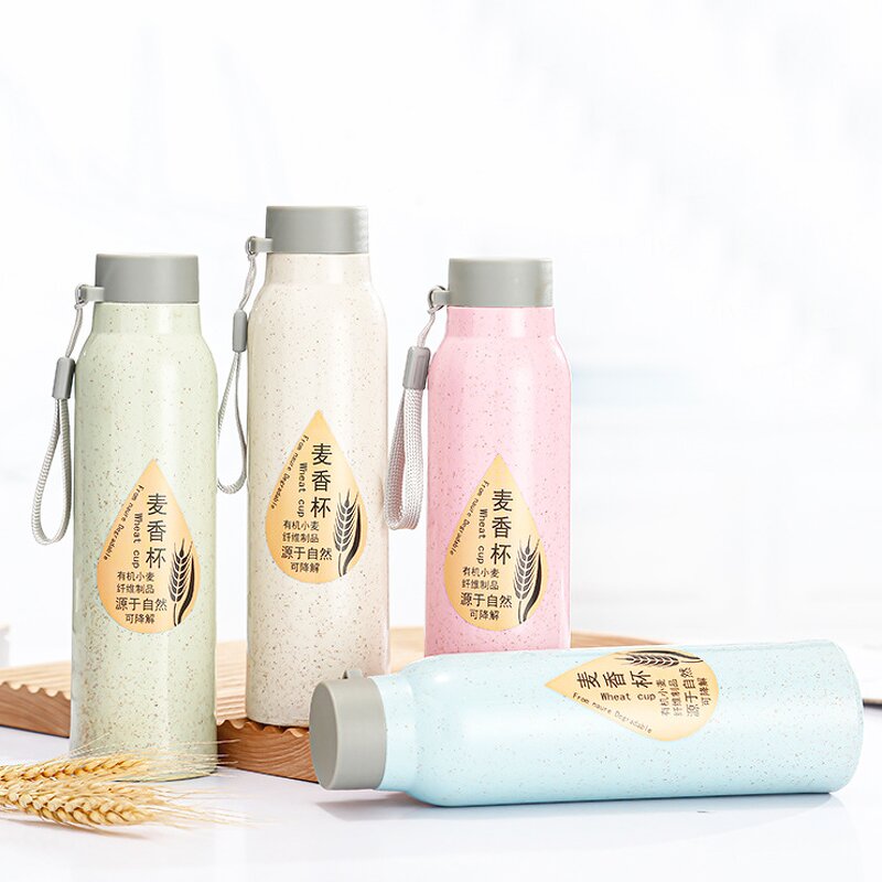 Wheat Straw Glass Water Bottle Manufacturer - High Quality Promotion Gift 12oz Bpa Free Portable Ivory Double Wall with Strap Logo
