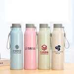 Wheat Straw Glass Water Bottle Manufacturer - High Quality Promotion Gift 12oz Bpa Free Portable Ivory Double Wall with Strap Logo