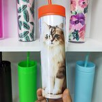 Acrylic Plastic Tumbler Manufacturer - Customized Wedding Party Favour Birthday DIY 16oz Double Wall Floral Eco-Friendly Dishwasher Safe Skinny