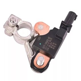 Battery Cable Terminal Sensor Manufacturer - for Ford Fusion Mondeo F-150 Parts Numbers DS7T10C652AC DS7Z10C679A DS7Z-10C679-A