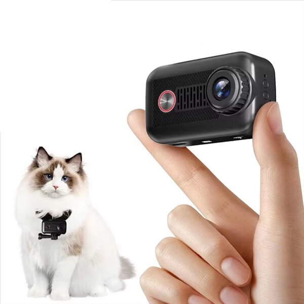 Pet Sports Camera Manufacturer - HD 2K Wireless WiFi App Rechargeable Dog Cat Collar Video Records Birthday Gift
