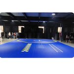 Boxing Gym Mat Manufacturer - Hot Sale Custom Environmental Protection Fighting