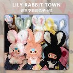 Plush Blind Box Manufacturer - Baby Three Lily Rabbit Town Series Cute Doll