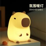 Silicone Night Light Manufacturer - LED Dolphin Door Capybara Children's Guinea Pig Pat Light