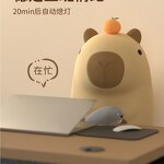 Silicone Night Light Manufacturer - LED Dolphin Door Capybara Children's Guinea Pig Pat Light